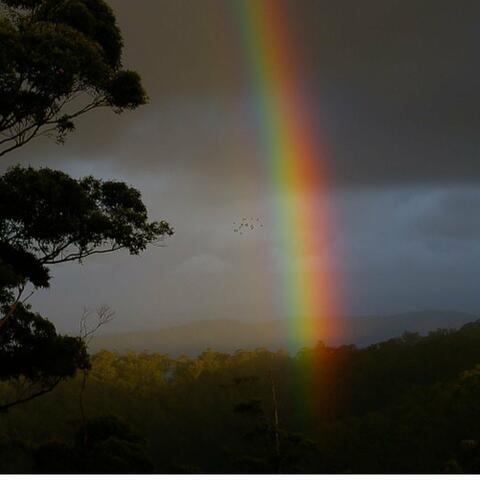 Rainbows N Gold