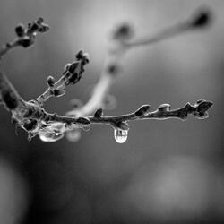 Alone in Winter