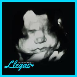 Llegas