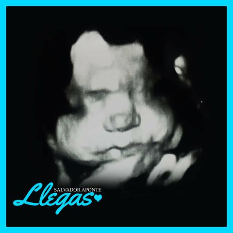 Llegas