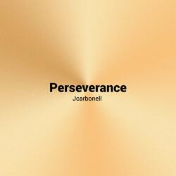 Peerseverance