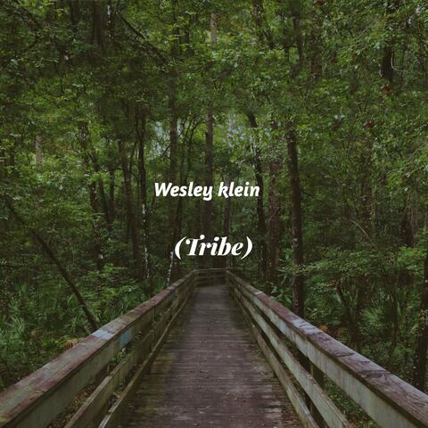 Tribe