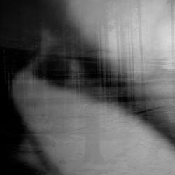 These Voices in My Head