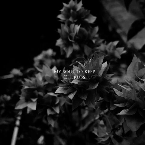 My Soul to Keep