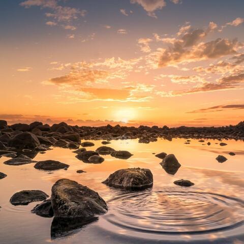 Beautiful Sunset