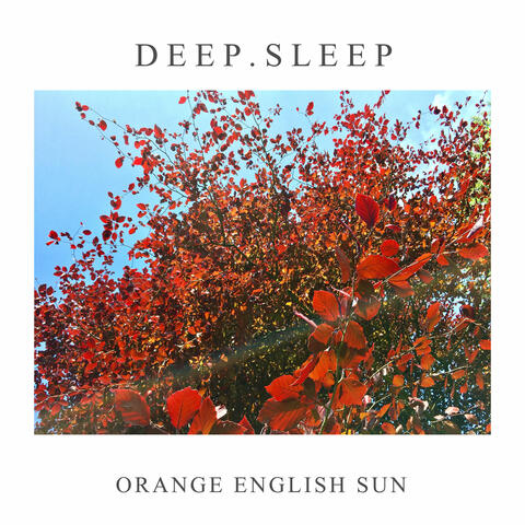 Orange English Sun