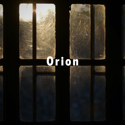 Orion