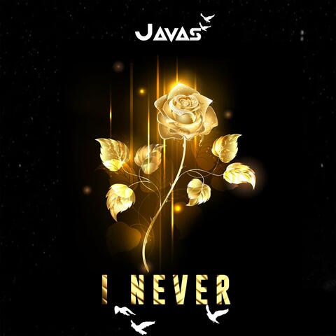 I Never
