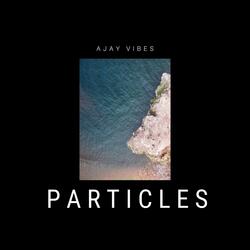 P A R T I C L E S