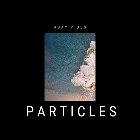 P A R T I C L E S