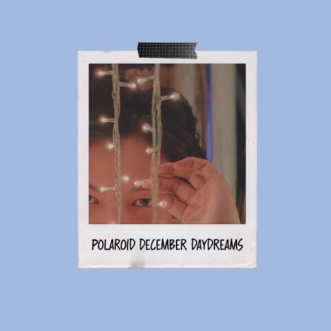 Polaroid December Daydreams