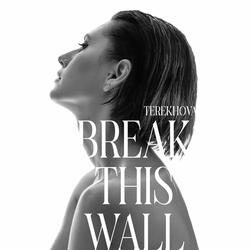 Break This Wall