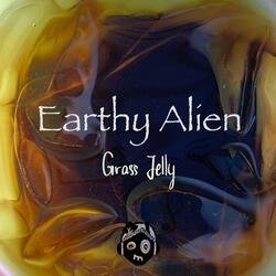 Grass Jelly