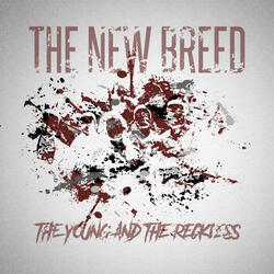 The Young and The Reckless