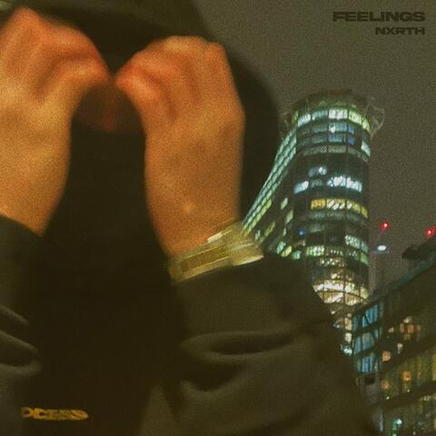 Feelings