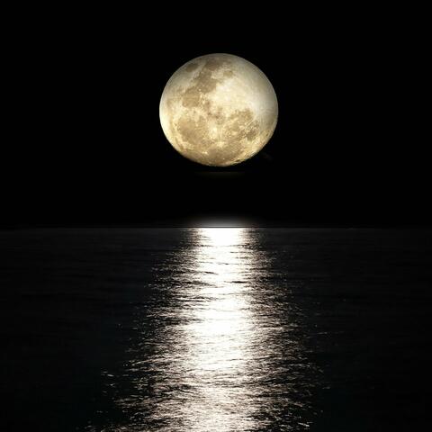 Under the Moonlight