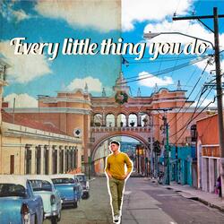 Every Little Thing You Do
