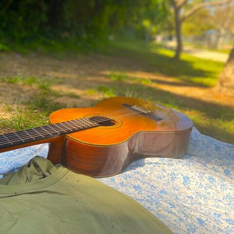 Scenes from Bellevue Park