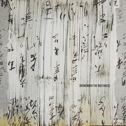 Remember the Mistakes