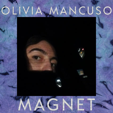 Magnet