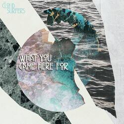 What You Came Here For