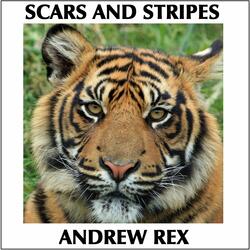 Scars and Stripes