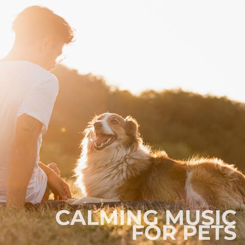 Calming Music For Pets