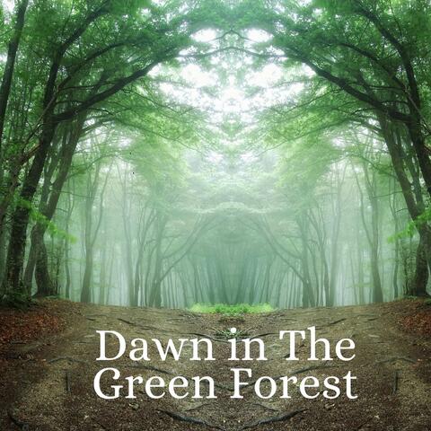 Dawn in the Green Forest