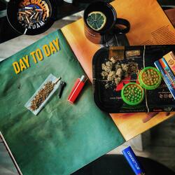 Day to Day