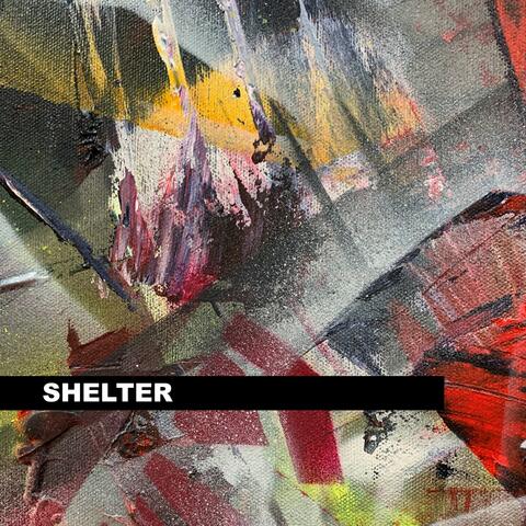 Shelter