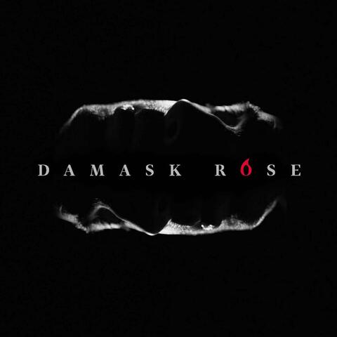 Damask Rose