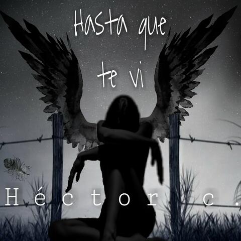 Hasta que te vi