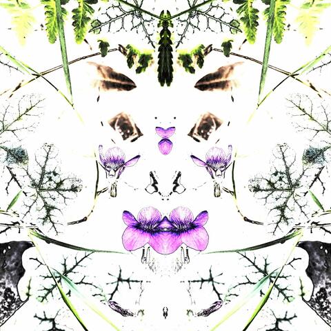 Mirror Ghost