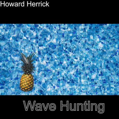 Wave Hunting