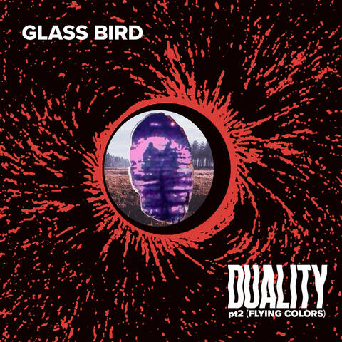 Duality Pt 2 (Flying Colors)