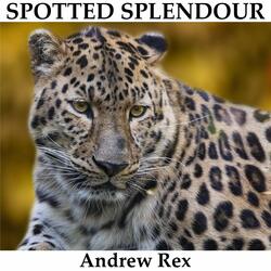 Spotted Splendour
