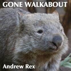 Gone Walkabout