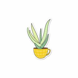 Virruz