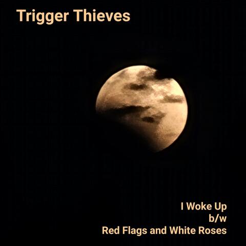I Woke up B/W Red Flags and White Roses