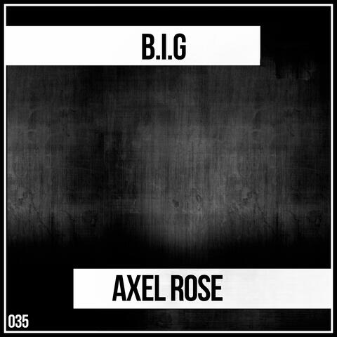 B.I.G