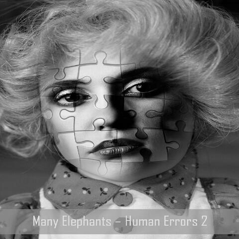 Human Errors 2