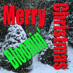 Merry Blooming' Christmas