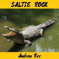 Saltie Rock