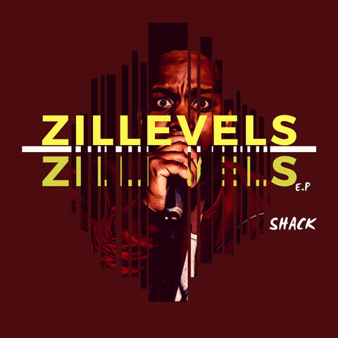 Zillevels