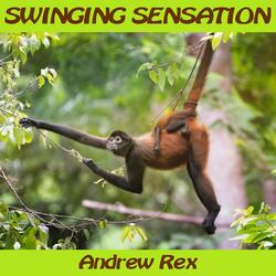 Swinging Sensation