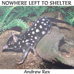 Nowhere Left to Shelter