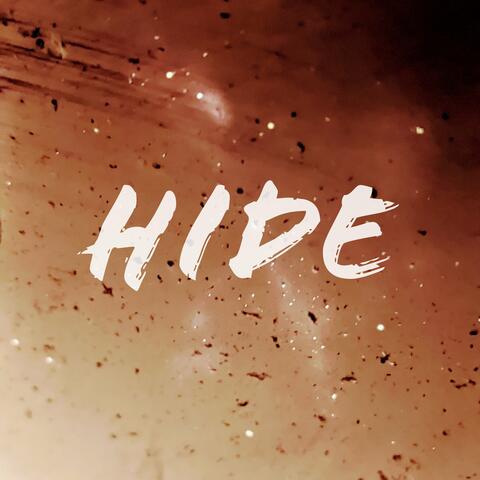 Hide