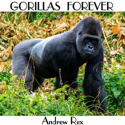 Gorillas Forever