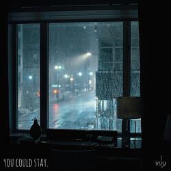 You Could Stay.