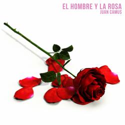 El Hombre y la Rosa